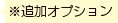 追加オプション